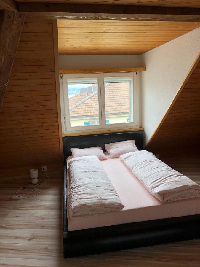 Wadenswil 3 Zimmer Wohnung Genau Beim Zurichsee Ngoại thất bức ảnh